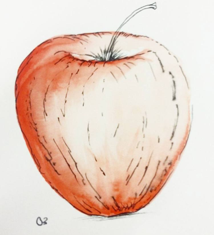 17200854_1458891230797099_215827941_o